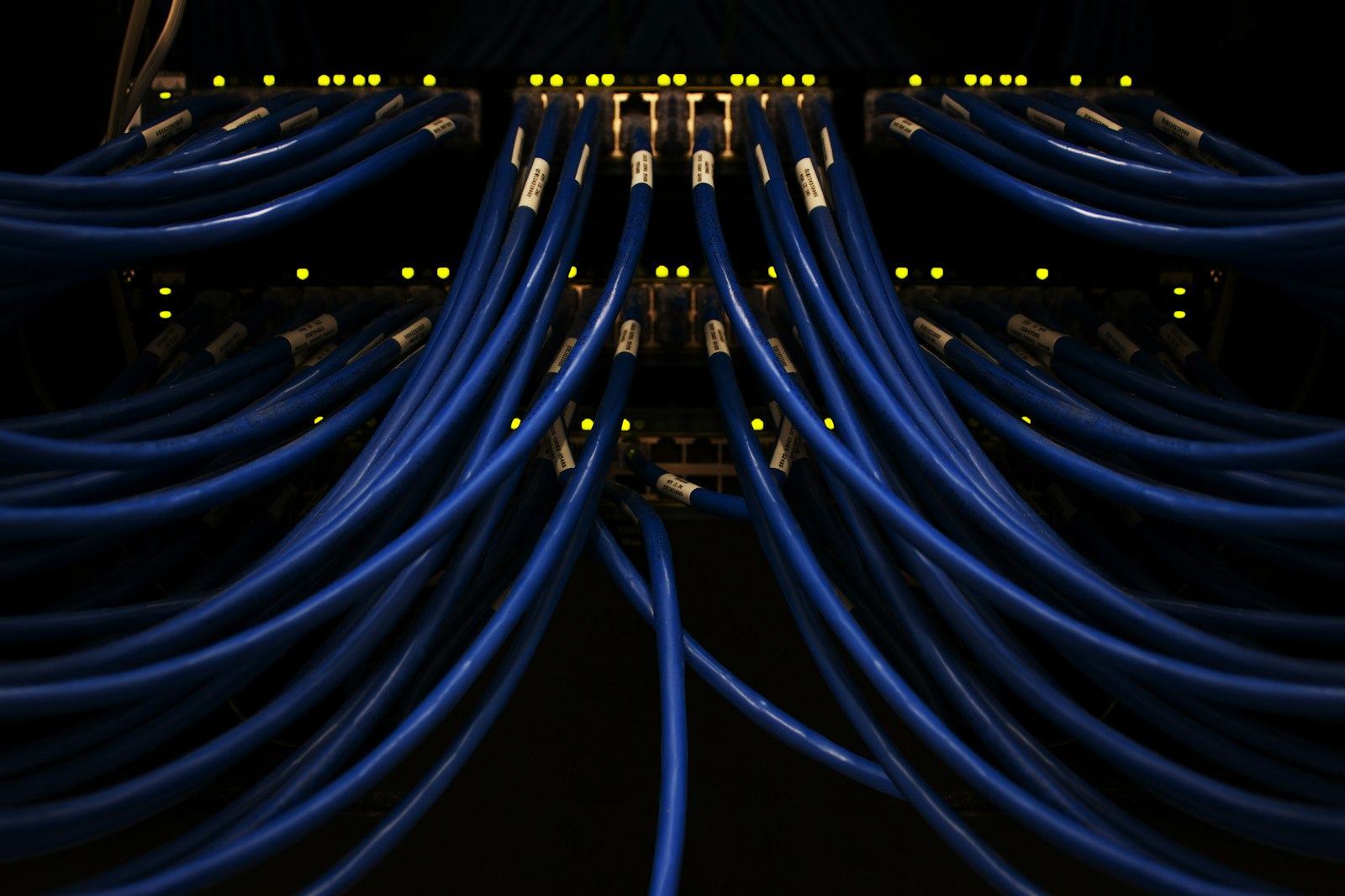 Bundles of blue network cables plugged into switches in a server rack